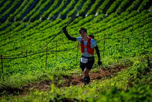 BIB: 2160
                            <button type="button" onclick="openModal(19161066)" class="btn btn-primary btn-sm float-right btn-popup" data-toggle="modal" data-target=".modal-high-quality">
                        <i class="fas fa-shopping-cart"></i> Add to Cart
                    </button>
                                            <button type="button" onclick="isThisMe(19161066, true)" class="btn btn-success btn-sm float-right btn-popup btn-isme hidden" data-toggle="tooltip" data-placement="bottom" title="นี่คือรูปของคุณใช่ไหม คลิกที่นี่เพื่อเอาเข้าอัลบั้ม">
                        <i class="fas fa-plus"></i> Add to album
                    </button>
                    <button type="button" onclick="isThisMe(19161066, false)" class="btn btn-warning btn-sm float-right btn-popup btn-isnotme hidden">
                        <i class="fas fa-ban"></i> Remove from album
                    </button>